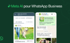 ​WhatsApp Business : Comptes certifiés, IA et Appels vocaux en approche